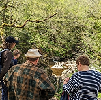 Le Saut de Gouloux, un site emblématique du Morvan - GOULOUX