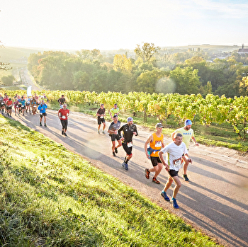 Marathon de Chablis - CHABLIS