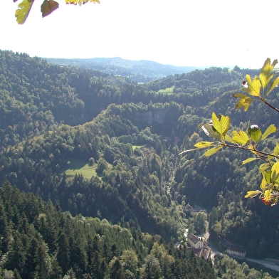 Chauve Roche