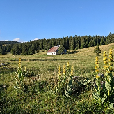 La Bâtie Dessous - Ferme