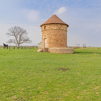Gîte des Vignes