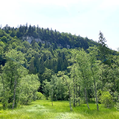 Tourbière de l'Entre Côtes du Milieu