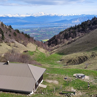 Randonnée pédestre : La Marche Populaire de Gex