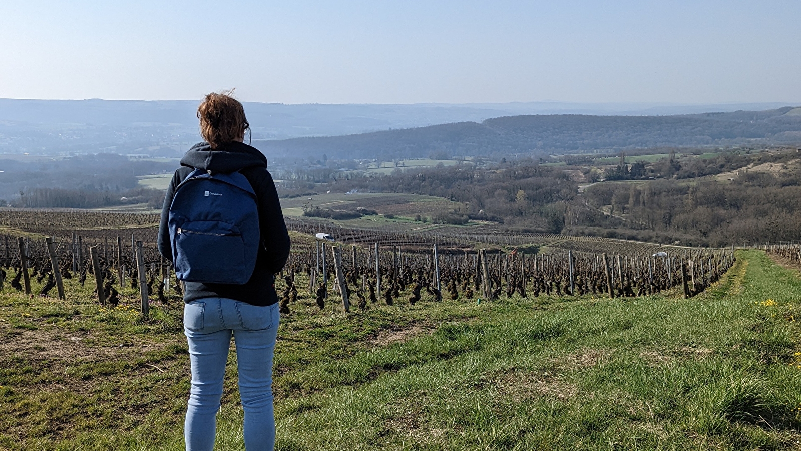 Pique-nique dans les vignes - Domaine du Beauregard