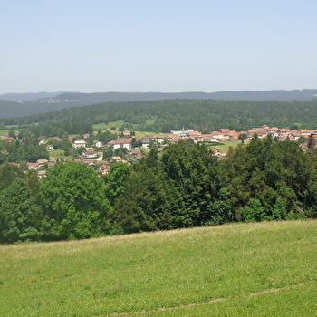 Le tour de Longchaumois - VTT / VTT AE - n°28 - LONGCHAUMOIS