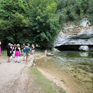 Visite guidée de Châtillon-sur-Seine - Parc national de forêts