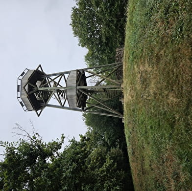 Le Signal de Mont
