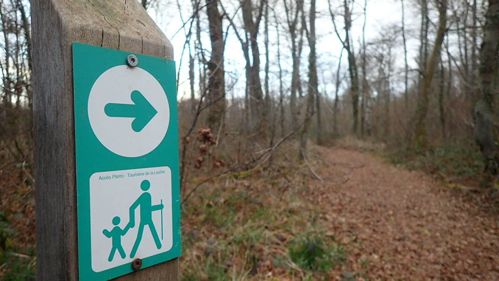 Réserve naturelle nationale de La Truchère-Ratenelle