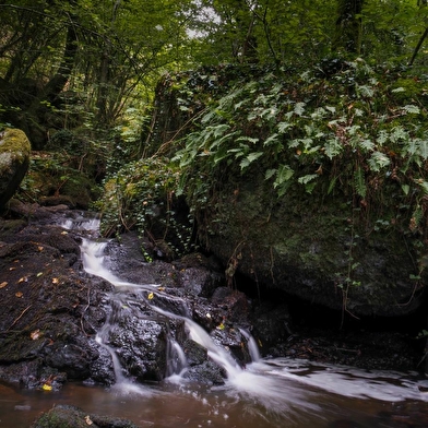 Gorges de Narvau