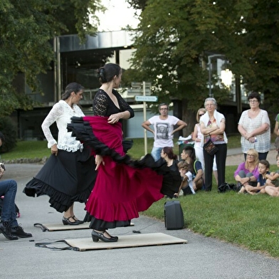 Voyage Flamenco