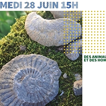 Visite guidée- Des Animaux et des Hommes- Veilly - VEILLY
