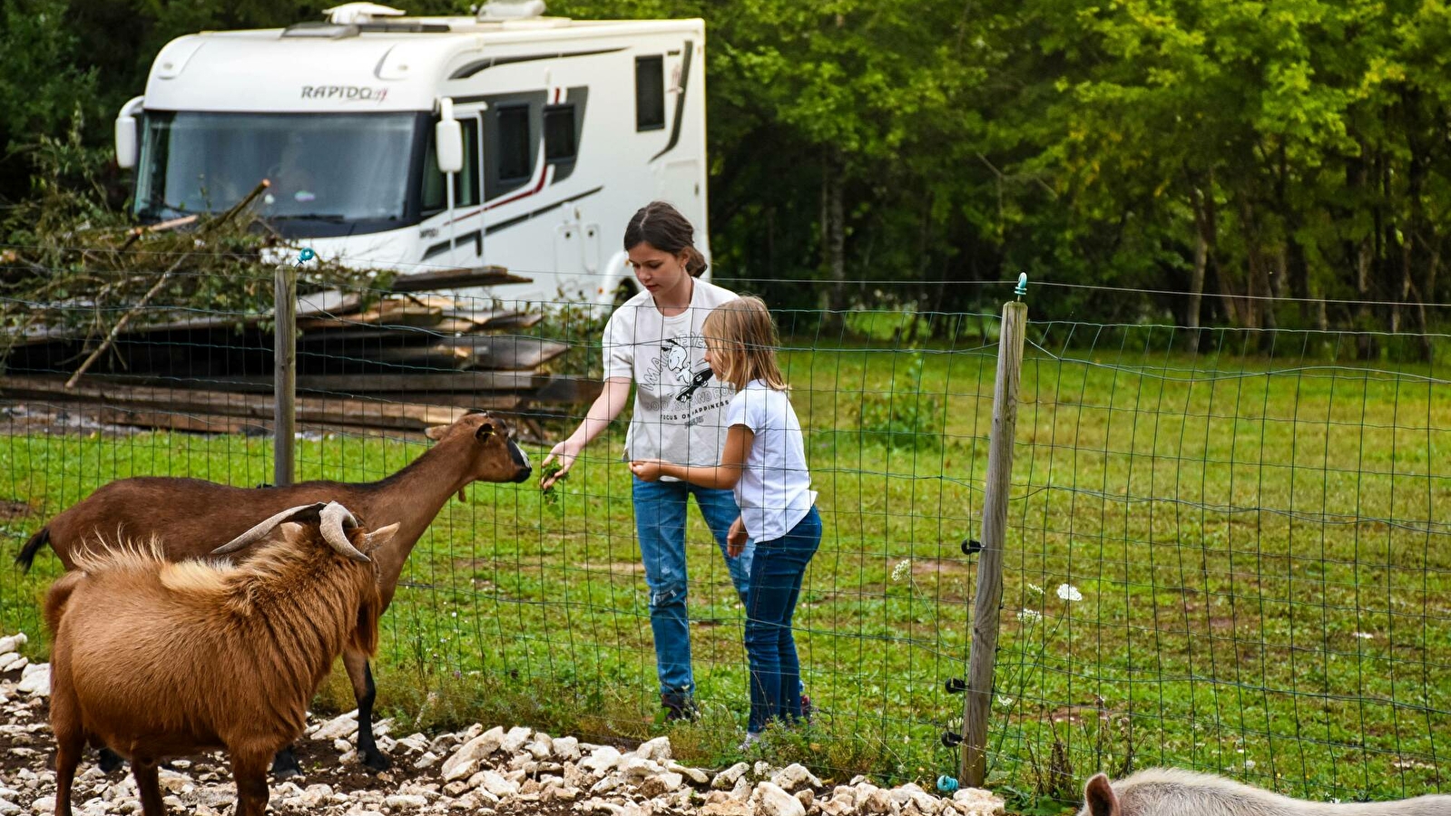 Aire de camping-car - Scierie des lacs