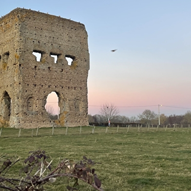 Randonnée guidée le long de l'Arroux