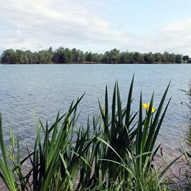 Circuit VTTAE n°5 (rouge) - De la Bresse des lacs à l'étang Pontremble