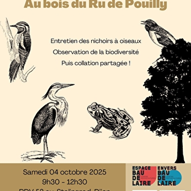 Chantier nature au bois du Ru de Pouilly_ENS2025