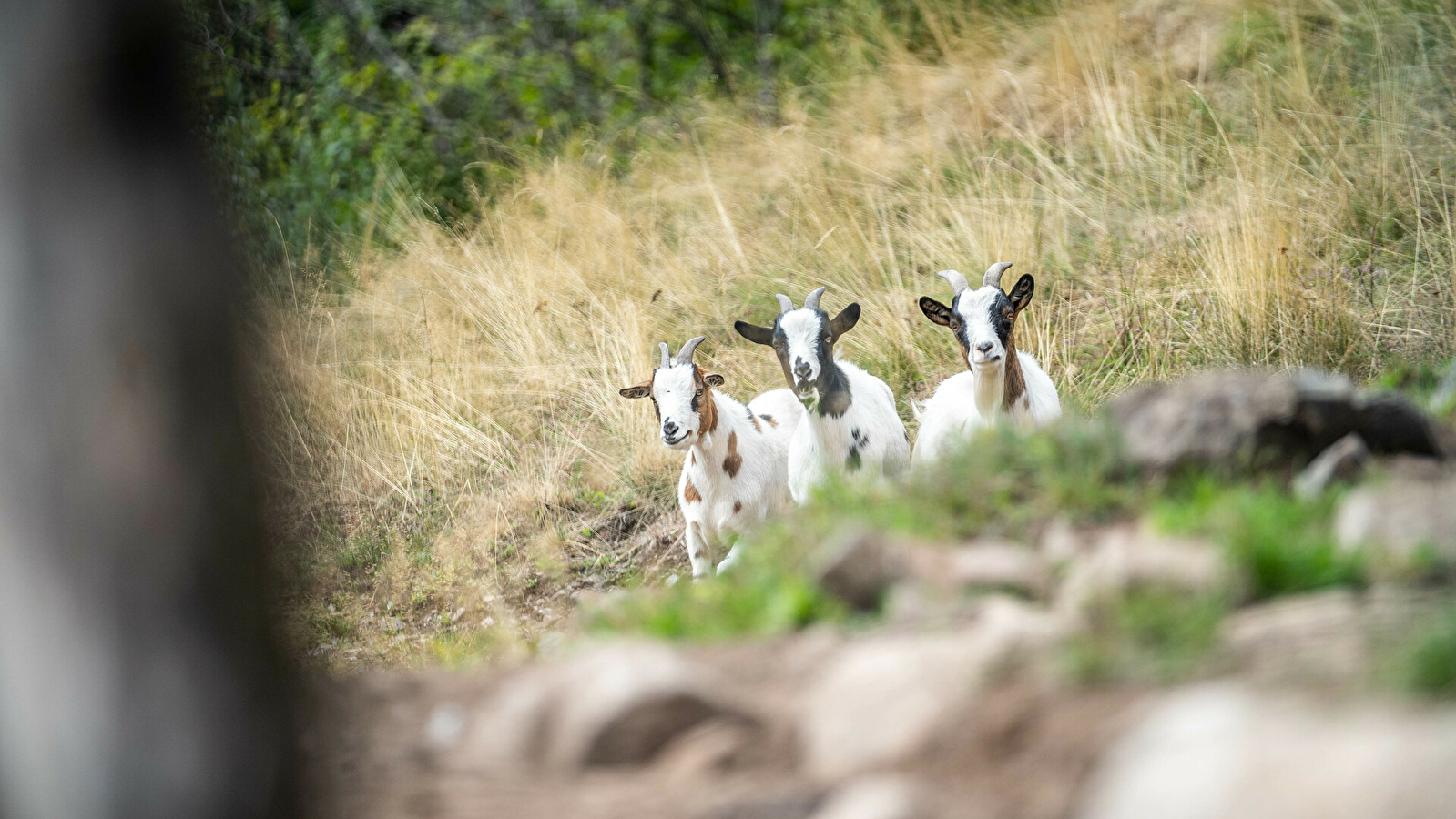 La ferme au fil des saisons