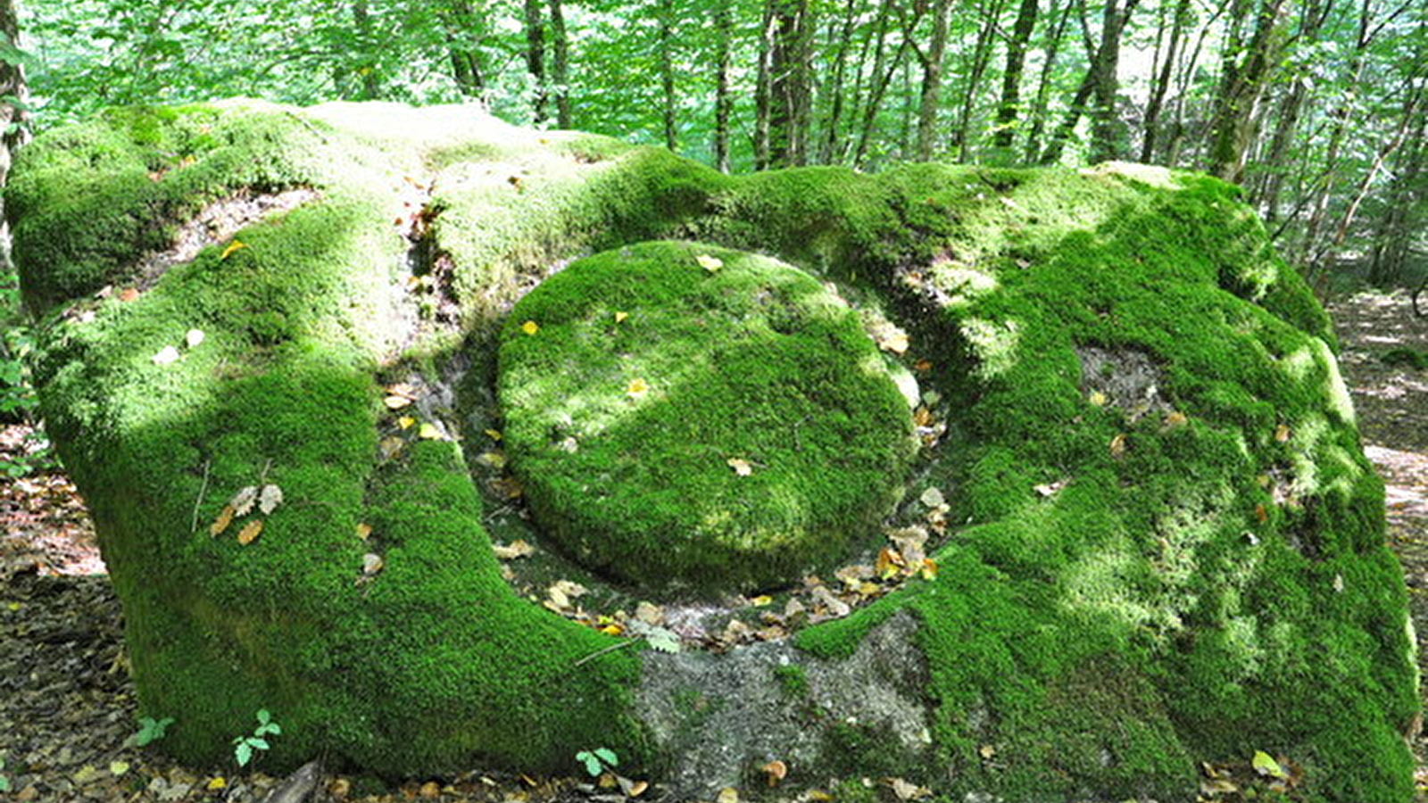 Pierre Guénachère et fontaine du Saint