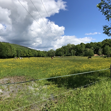 Promenade à travers les écuries (Arbère-Grilly)