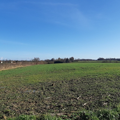 Sur les chemins de St Didier d'Aussiat (Version courte)