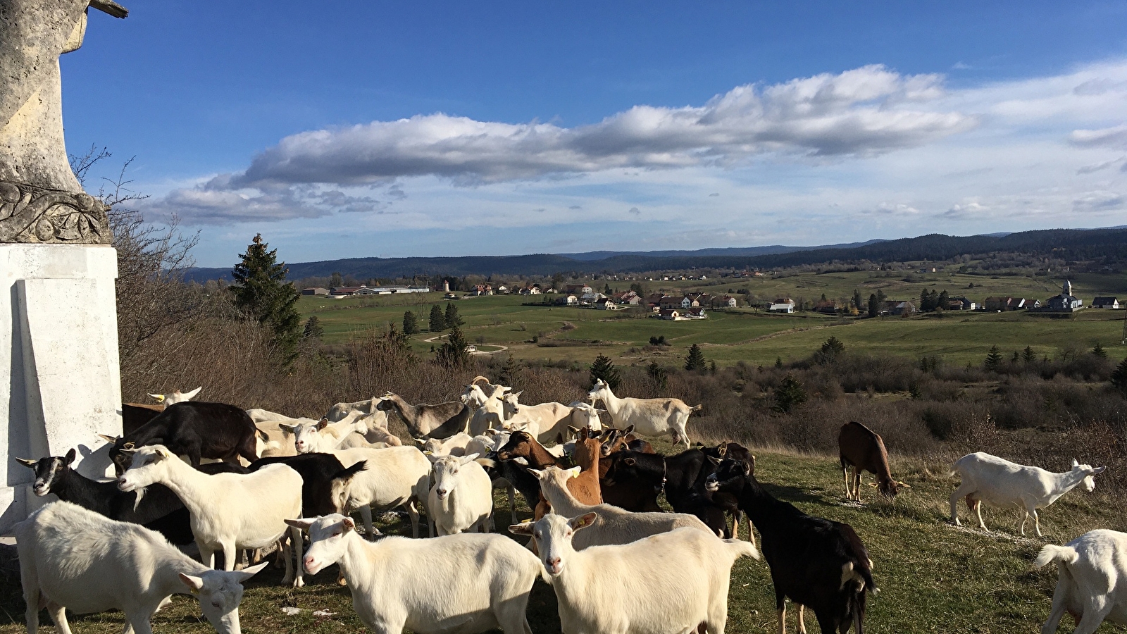 Ferme de la Fruitière