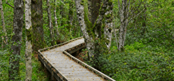 Le sentier de la Maison des Hommes et des Paysages - SAINT-BRISSON