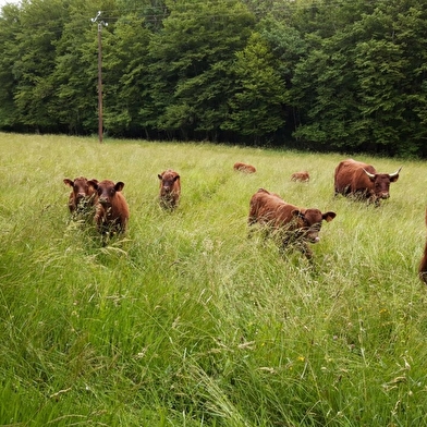 La Ferme de la Côte