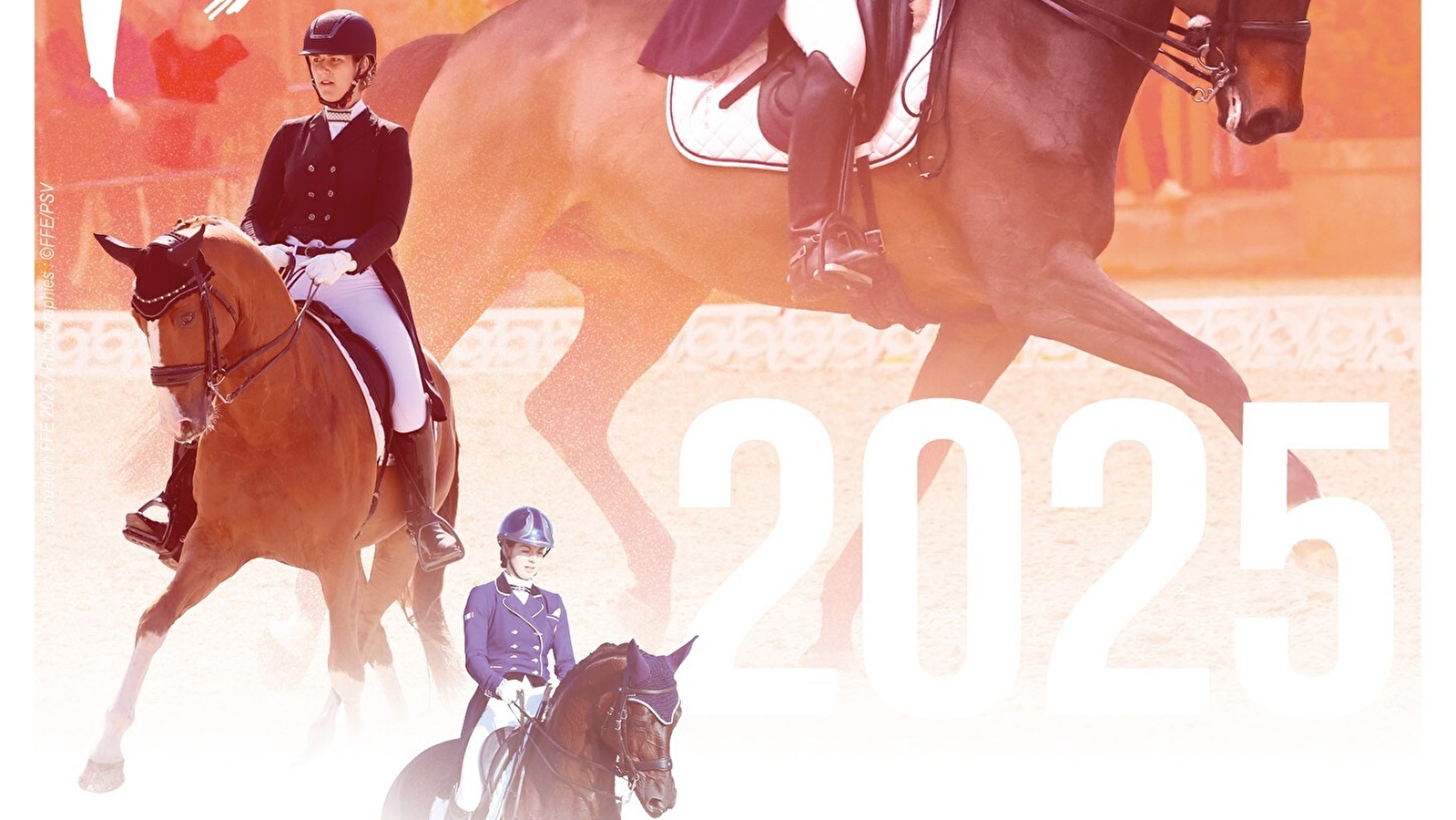 Concours Hippique - Grand National de dressage