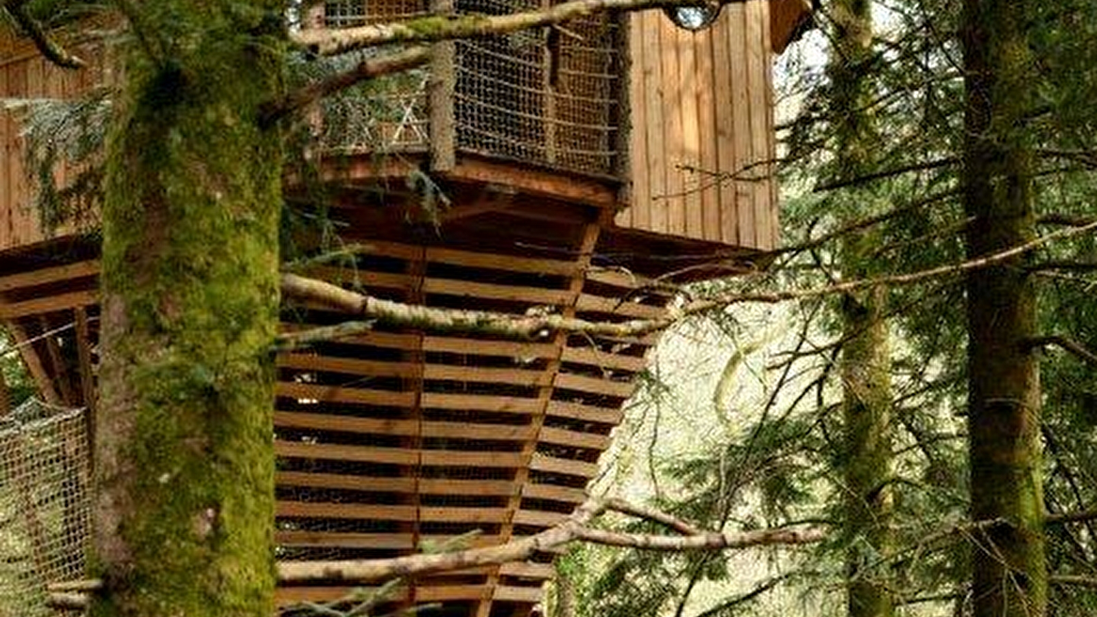 Cabane La Fauconnière