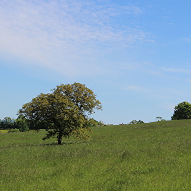 Balade des chapelles