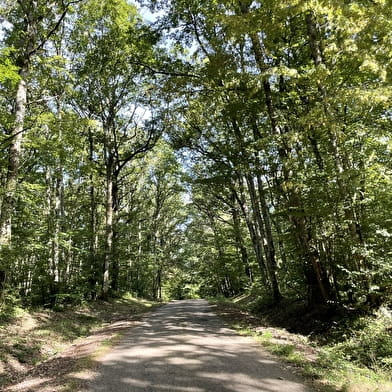 Aux Grands Garreaux 