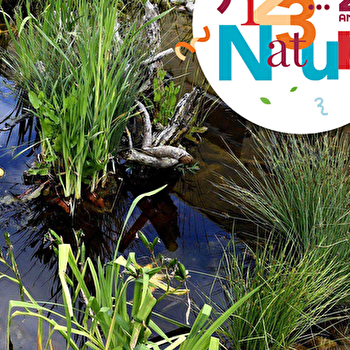 CHANTIER PARTICIPATIF 123 NATURE : SPÉCIAL MARE - VANDONCOURT