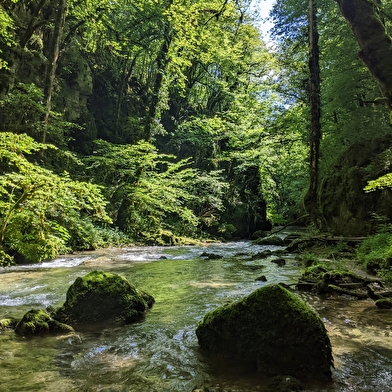 Sentier Courbet 6 : Le Ravin du Puits Noir, l'atelier en nature