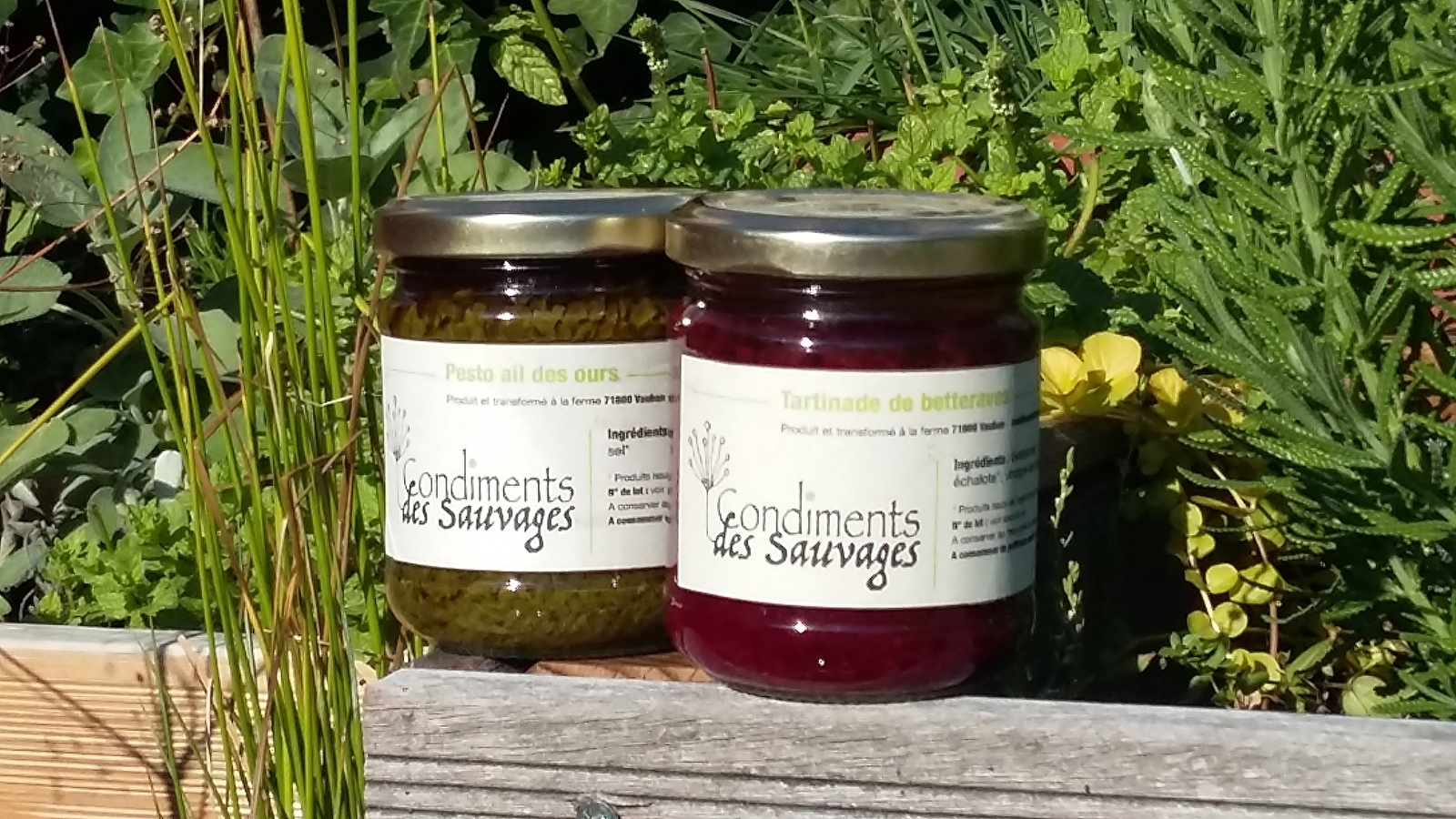 Les Condiments des Sauvages