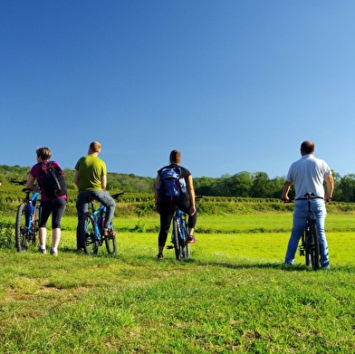 Circuit VTT Le Grand Tour des Monts de Gy 