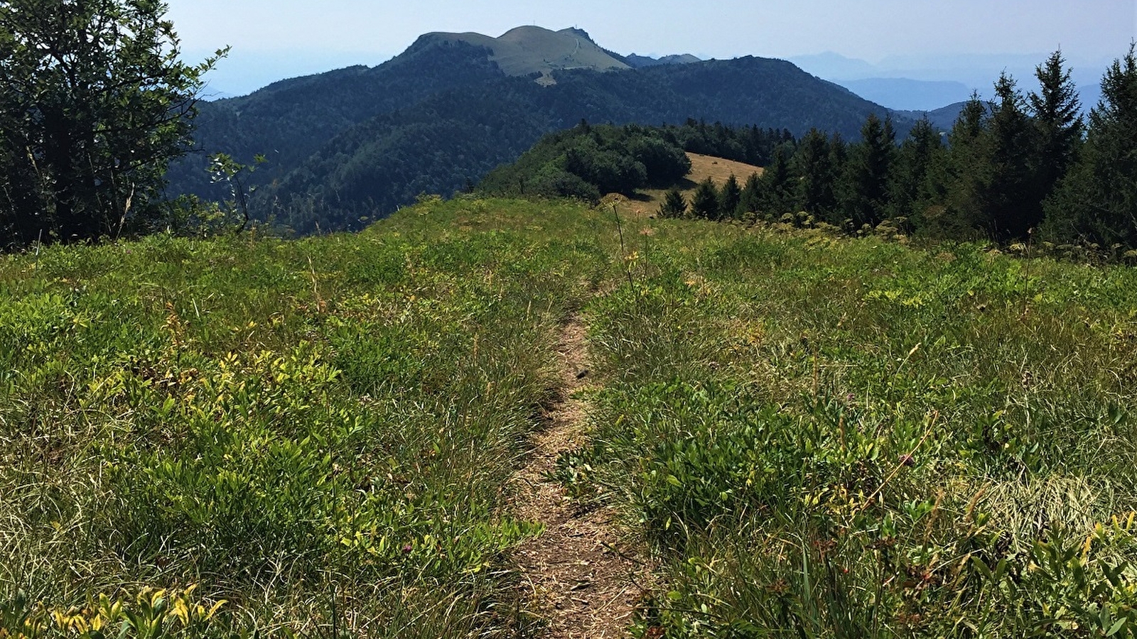 Parcours trail sur les crêtes d'Hergues
