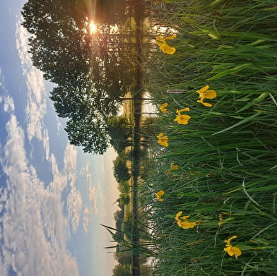 Etang communal Les Prés de la Vavre