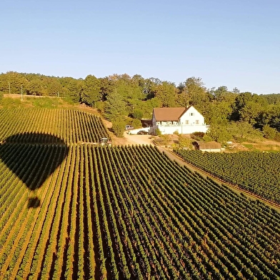 Le Mont Laurent