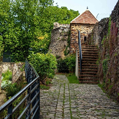 Des ruelles pavées de Toucy aux trognes du Bois des Quatre Francs