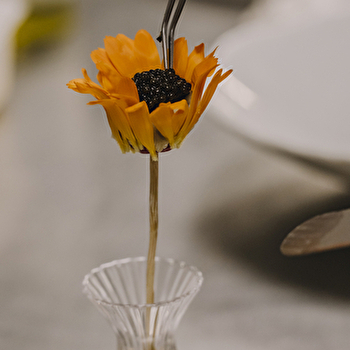 Erre - Domaine du Roncemay - CHASSY