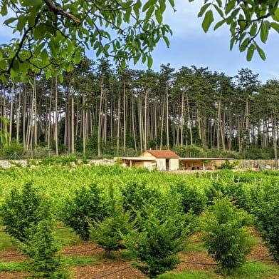 Le Clos de la Belle Chatelaine : Découvrir la Permaculture et déguster le vin du clos