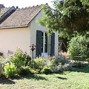 Pince Grain - LOSNE