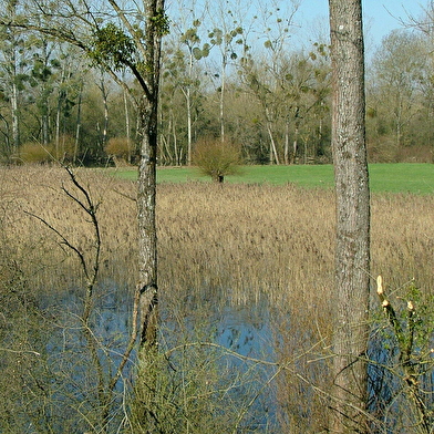 Ile du Girard