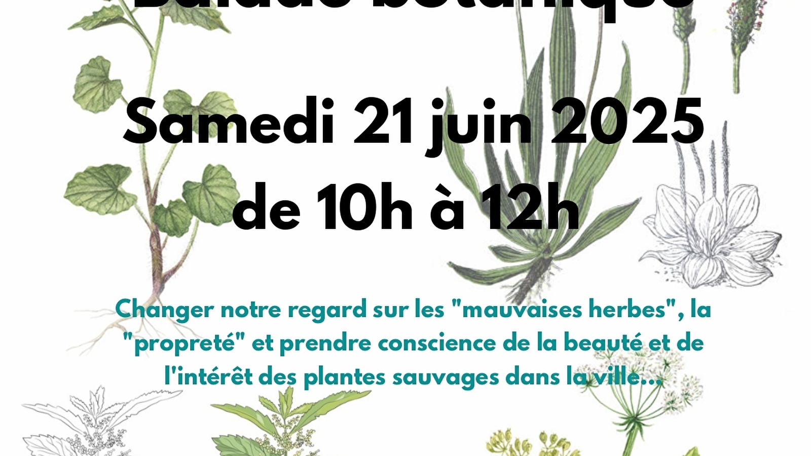 BALADE BOTANIQUE