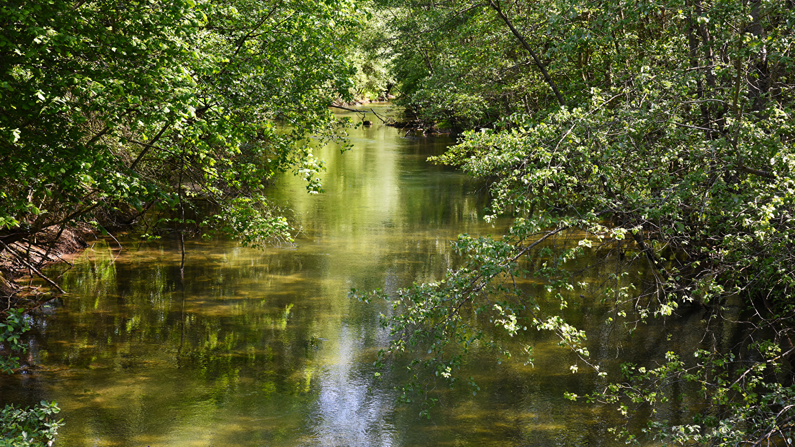 Rand'eau au Parc national de forêts