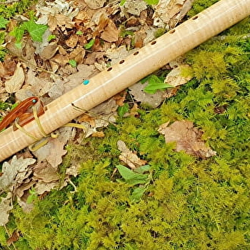 Évasion Sonore en Forêt - CLUNY