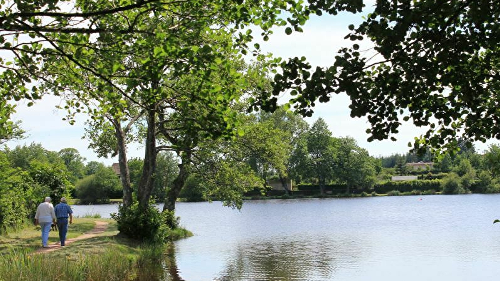 Circuit de randonnée : Boucle du bois de Marcioux