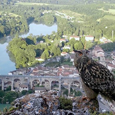 Festival docs en goguette - Des cailloux dans la chaussure