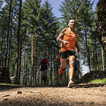 Circuit de Trail: Boucle n°3 de Moux-en-Morvan - MOUX-EN-MORVAN