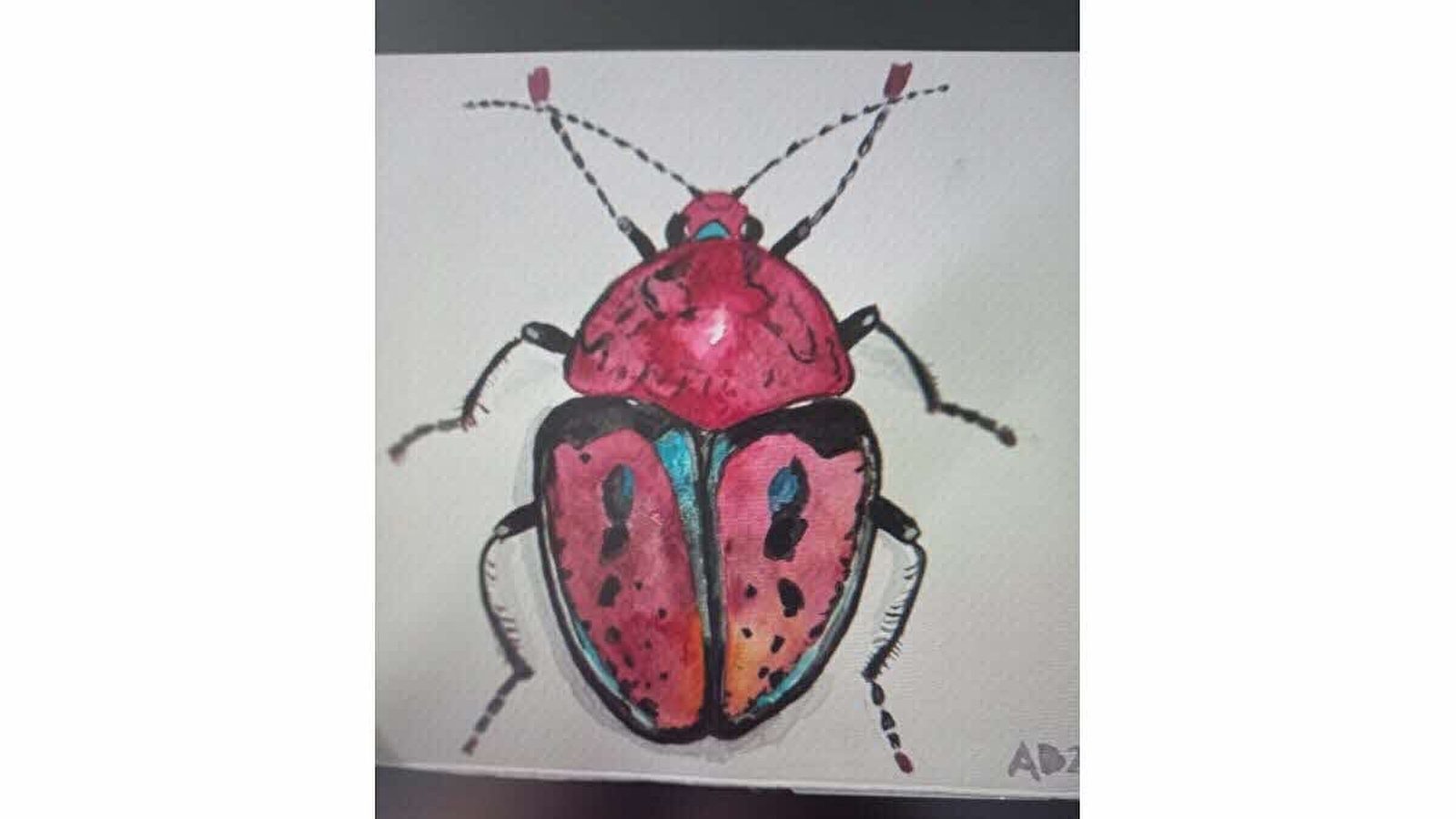 Stage d'été dessin et peinture : Dessiner les animaux
