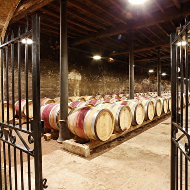 Route des Vins Mâconnais Beaujolais